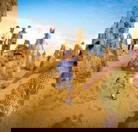 Full-Day Pinnacles Desert and Yanchep National Park Tour From Perth - Broome Tourism