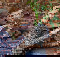 Private Tour Blue Mountains Day Trip from Sydney - Broome Tourism