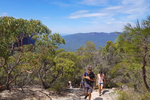 Blue Mountains Unique Small-Group Day Adventure With BBQ Lunch - Broome Tourism 3