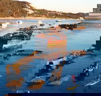 Adventure Moreton Island Wrecks Adventure Package - Broome Tourism
