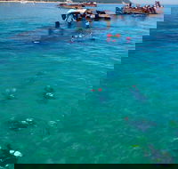 Adventure Moreton Island Scuba Dive Tour - Broome Tourism