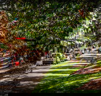 Fully Inclusive Blue Mountains Private Tour inc Scenic World  Featherdale entry - Broome Tourism