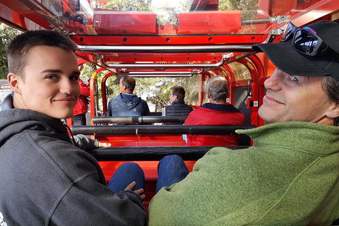 Fully Inclusive Blue Mountains Private Tour Inc Scenic World & Featherdale Entry - Broome Tourism 1