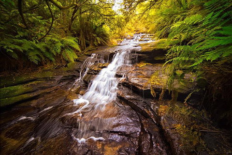 Fully Inclusive Blue Mountains Private Tour Inc Scenic World & Featherdale Entry - Broome Tourism 3