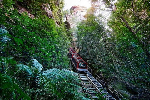 Fully Inclusive Blue Mountains Private Tour Inc Scenic World & Featherdale Entry - Broome Tourism 4