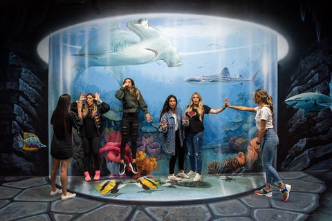 ArtVo Immersive Gallery Experience - Broome Tourism 2