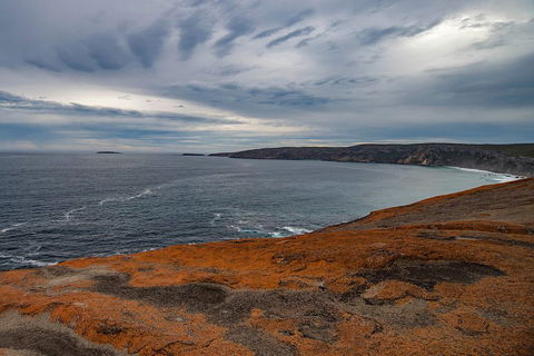 Kangaroo Island Luxury Small Group 'Flinders Chase Focus' Full Day Tour - Broome Tourism 0