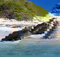 Dolphin Penguin and Sea Lion Cruise - Broome Tourism