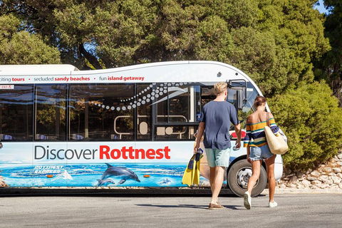 Discover Rottnest With Ferry & Bus Tour From Perth Or Fremantle - Broome Tourism 1
