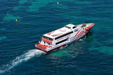 Discover Rottnest With Ferry & Bus Tour From Perth Or Fremantle - Broome Tourism 3