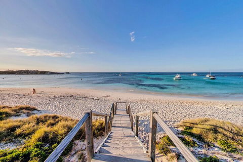 Discover Rottnest With Ferry & Bus Tour From Perth Or Fremantle - Broome Tourism 4