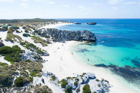 Discover Rottnest With Ferry & Bus Tour From Perth Or Fremantle - Broome Tourism 5