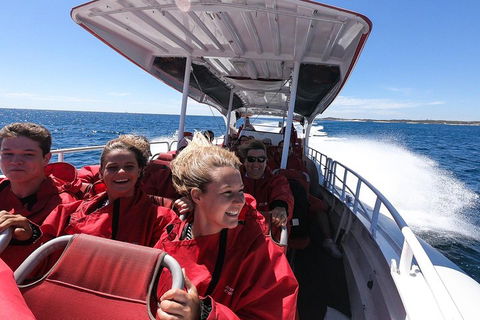 Adventure Rottnest Tour With Ferry & Adventure Cruise From Perth Or Fremantle - Broome Tourism 0