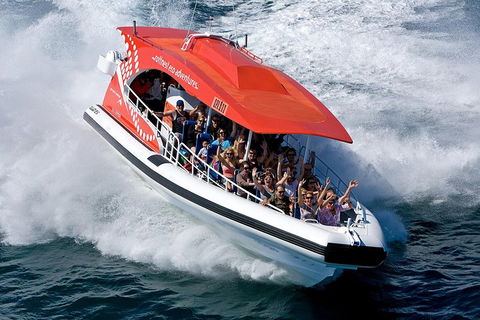 Adventure Rottnest Tour With Ferry & Adventure Cruise From Perth Or Fremantle - Broome Tourism 2