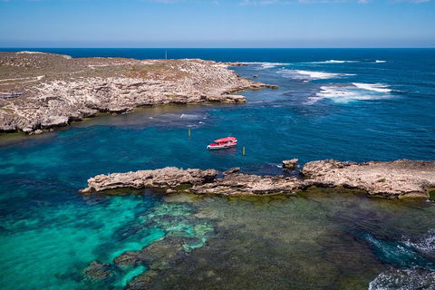 Adventure Rottnest Tour With Ferry & Adventure Cruise From Perth Or Fremantle - Broome Tourism 3