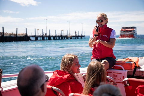 Adventure Rottnest Tour With Ferry & Adventure Cruise From Perth Or Fremantle - Broome Tourism 4
