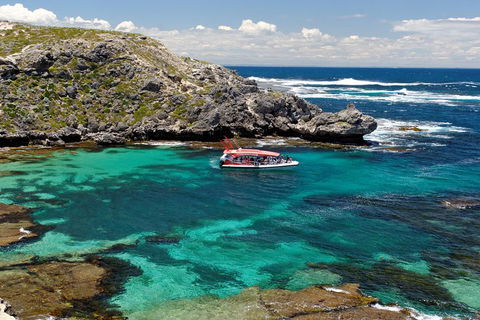Adventure Rottnest Tour With Ferry & Adventure Cruise From Perth Or Fremantle - Broome Tourism 5
