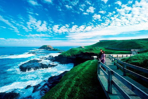 Puffing Billy, Moonlit Sanctuary & Penguins Day Tour - Broome Tourism 2