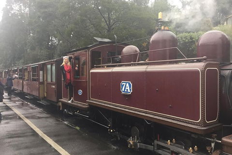 Puffing Billy, Moonlit Sanctuary & Penguins Day Tour - Broome Tourism 4