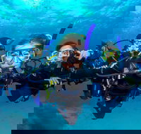Great Barrier Reef Diving and Snorkeling Cruise from Cairns - Broome Tourism