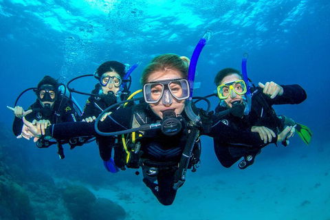 Great Barrier Reef Diving And Snorkeling Cruise From Cairns - Broome Tourism 0
