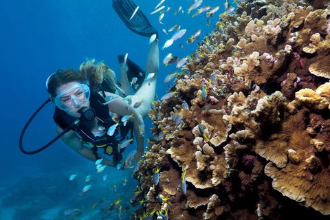 Great Barrier Reef Diving And Snorkeling Cruise From Cairns - Broome Tourism 1