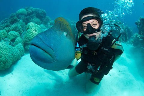 Great Barrier Reef Diving And Snorkeling Cruise From Cairns - Broome Tourism 2