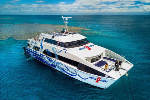 Great Barrier Reef Diving And Snorkeling Cruise From Cairns - Broome Tourism 5