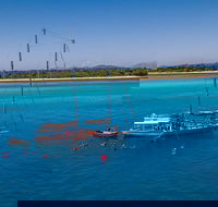 Ocean Free Green Island  Great Barrier Reef Snorkel Cruise Cairns 25 guests - Broome Tourism
