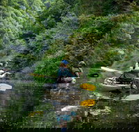 Byron Bay Rainforest Fishing - Broome Tourism