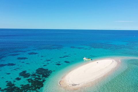 Ocean Safari Great Barrier Reef Experience In Cape Tribulation - Broome Tourism 0