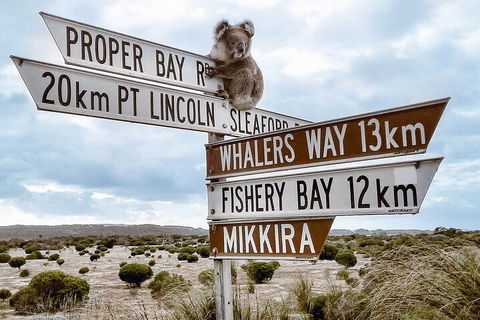 One Day Port Lincoln Tour - Tasting Eyre - Broome Tourism 2