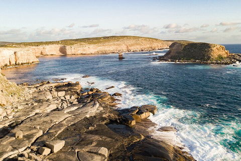 One Day Port Lincoln Tour - Tasting Eyre - Broome Tourism 3