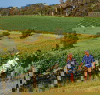 10 Day Perth to Adelaide Private Tour - The Great Australian Wilderness Journey - Broome Tourism