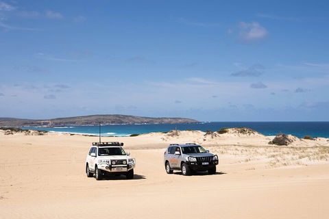 3 Day Port Lincoln And Coffin Bay Private Tour - Broome Tourism 0