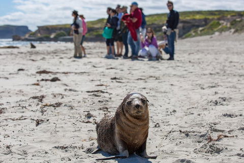 Kangaroo Island In A Day Tour From Adelaide - Broome Tourism 0