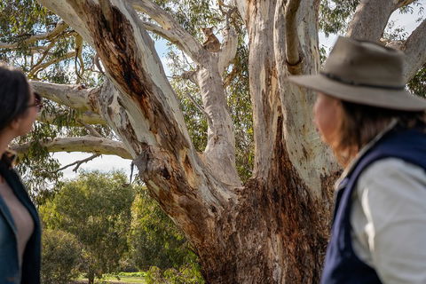 NEW TOUR - Kangaroo Island Road To Recovery Tour (1 Day/1 Night) - Broome Tourism 0