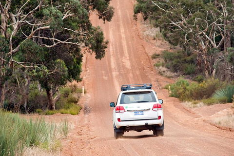 Full Day Seal Bay Experience Departing From Kangaroo Island - Broome Tourism 2