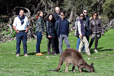 Full Day Seal Bay Experience Departing From Kangaroo Island - Broome Tourism 3