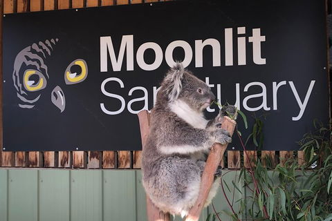 Small-Group Phillip Island Day Trip From Melbourne - Broome Tourism 3