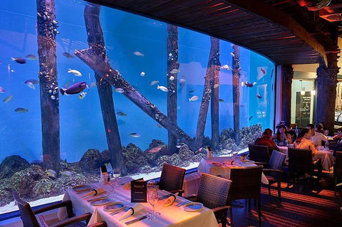 Cairns Aquarium And Small Group City Sightseeing Tour - Broome Tourism 4