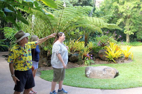 Cairns Shore Excursion: Cairns City Sights & Surrounds Tour - Broome Tourism 4