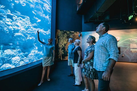 Cairns Aquarium By Twilight With 3-Course Dinner - Broome Tourism 1