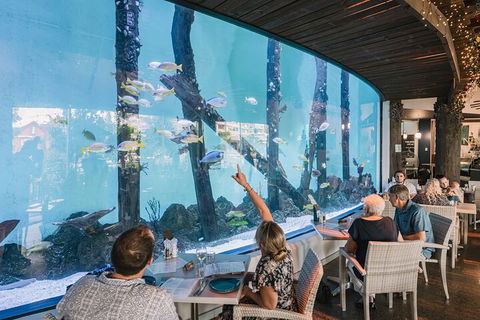 Cairns Aquarium By Twilight With 3-Course Dinner - Broome Tourism 4
