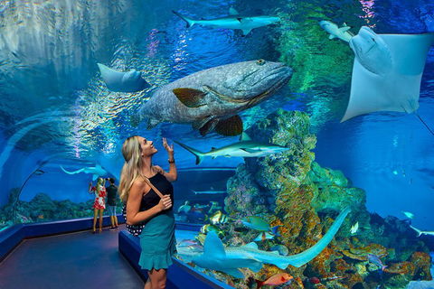 Cairns Aquarium Admission Ticket - Broome Tourism 3