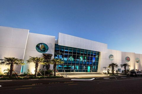 Cairns Aquarium Admission Ticket - Broome Tourism 4