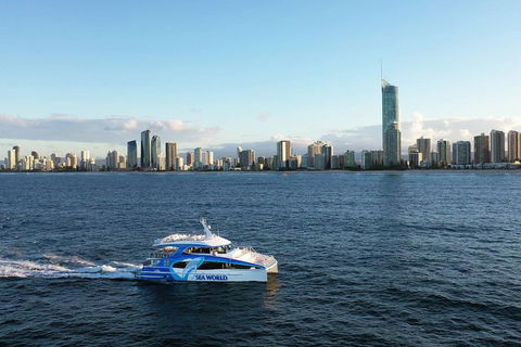Whale Watching By Sea World Cruises - Broome Tourism 1