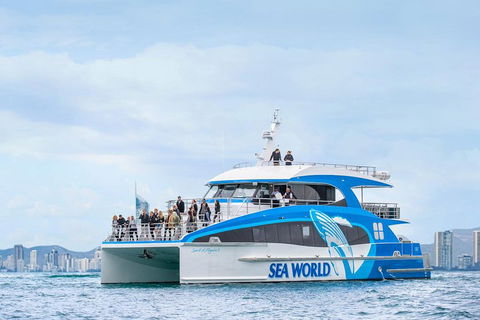Whale Watching By Sea World Cruises - Broome Tourism 3
