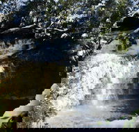 Cradle Mountain Day Tour from Launceston Including Lunch - Broome Tourism