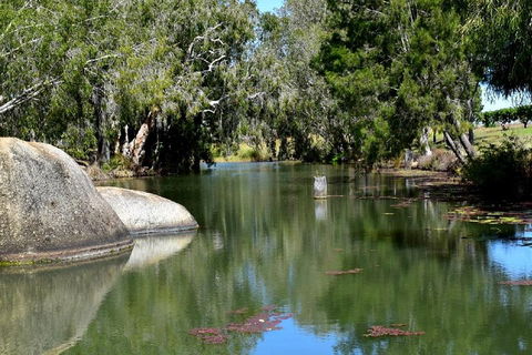 Private Daintree And Cape Tribulation Tour From Port Douglas - Broome Tourism 3